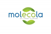 Molecola 